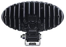 Load image into Gallery viewer, Photo - Close Up