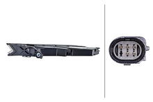 Load image into Gallery viewer, Photo - Close Up