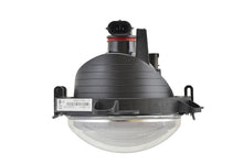 Load image into Gallery viewer, Photo - Close Up