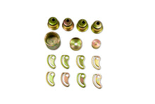 Load image into Gallery viewer, Photo - Primary