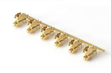 Load image into Gallery viewer, Photo - Primary