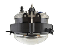 Load image into Gallery viewer, Photo - Unmounted