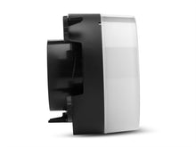 Load image into Gallery viewer, Photo - Close Up