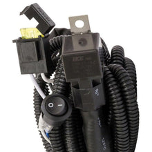 Load image into Gallery viewer, Photo - Close Up