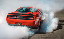 Load image into Gallery viewer, Photo - Mounted