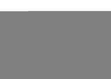 Load image into Gallery viewer, Photo - Close Up