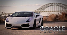 Load image into Gallery viewer, Oracle Lamborghini Gallardo 04-12 LED Halo Kit - White