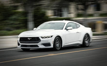 Load image into Gallery viewer, Photo - Mounted