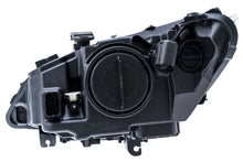 Load image into Gallery viewer, Photo - Primary