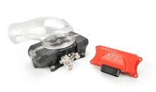 Load image into Gallery viewer, Photo - Primary