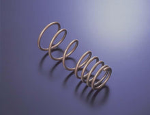 Load image into Gallery viewer, Tein 00+ S2000 H. Tech Springs