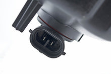 Load image into Gallery viewer, Photo - Unmounted