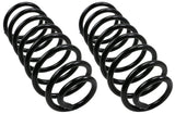 Moog 99-04 Volkswagen Golf 2.0L / 00-05 Volkswagen Jetta 2.0L Front Coil Spring Set