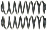 Moog 99-04 Volkswagen Golf 2.0L / 00-05 Volkswagen Jetta 2.0L Rear Coil Spring Set