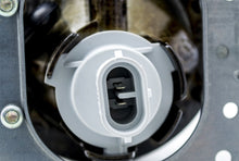 Load image into Gallery viewer, Photo - Unmounted