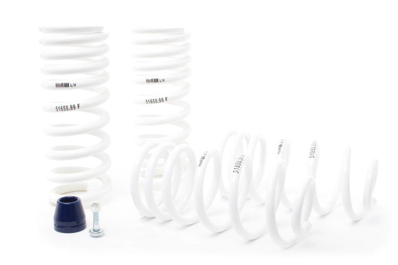 H&R lowering springs for 94-95 Ford Mustang Cobra V8, performance suspension upgrade, visible coil springs and spring coils.