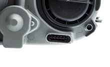 Load image into Gallery viewer, Photo - Unmounted