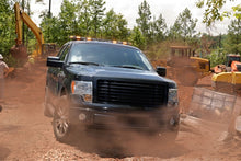 Load image into Gallery viewer, Photo - Mounted