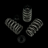 Brian Crower Chevy LS Series Beehive Steel Retainer Kit