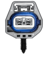 Load image into Gallery viewer, Photo - Close Up