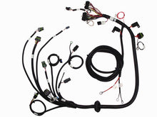 Load image into Gallery viewer, Photo - Primary