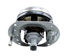 Load image into Gallery viewer, Photo - Close Up