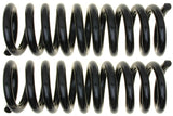 Moog 06-10 Dodge Charger Rear Coil Spring Set