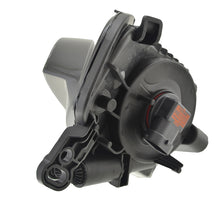 Load image into Gallery viewer, Photo - Close Up