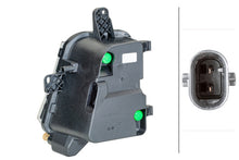 Load image into Gallery viewer, Photo - Primary