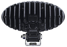 Load image into Gallery viewer, Photo - Unmounted