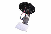 Load image into Gallery viewer, Photo - Close Up