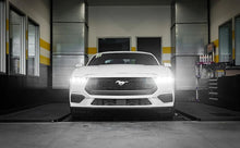 Load image into Gallery viewer, Photo - Mounted