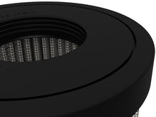 Load image into Gallery viewer, Photo - Close Up