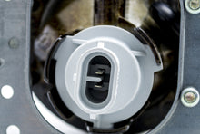 Load image into Gallery viewer, Photo - Close Up