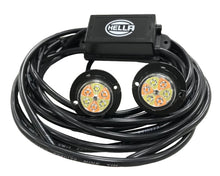 Load image into Gallery viewer, Photo - Primary