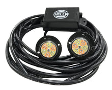 Load image into Gallery viewer, Photo - Primary