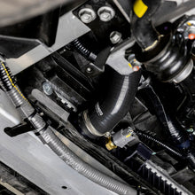 Load image into Gallery viewer, Photo - Mounted