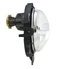 Load image into Gallery viewer, Photo - Close Up