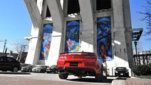 Load image into Gallery viewer, Photo - Mounted
