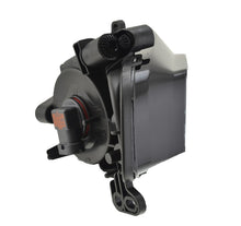 Load image into Gallery viewer, Photo - Unmounted