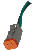 Load image into Gallery viewer, Photo - Primary