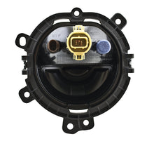 Load image into Gallery viewer, Photo - Close Up