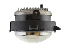 Load image into Gallery viewer, Photo - Close Up