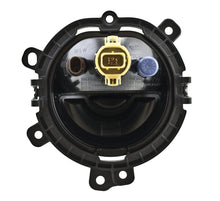 Load image into Gallery viewer, Photo - Unmounted