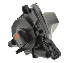 Load image into Gallery viewer, Photo - Unmounted