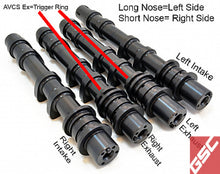 Load image into Gallery viewer, User 1