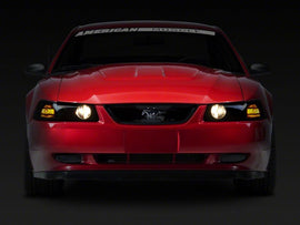 Photo - Close Up