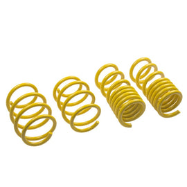 ST Suspensions Lowering Springs ST Lowering Springs Ford Mustang V8