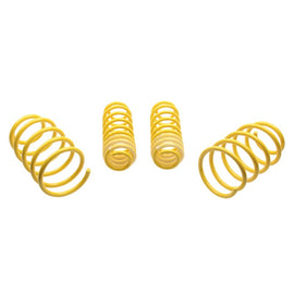 ST Suspensions Lowering Springs ST Sport-tech Lowering Springs Ford Mustang 5th gen.